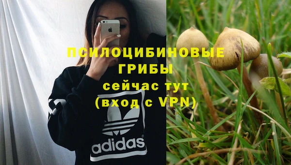 соль ск Беломорск