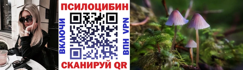 Галлюциногенные грибы мухоморы  даркнет какой сайт  Гаврилов-Ям  где купить наркоту  omg ссылка 